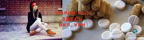 прущие грибы Алзамай