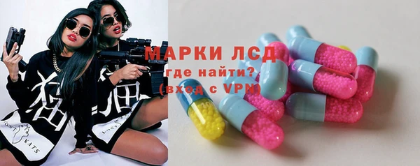 прущие грибы Алзамай