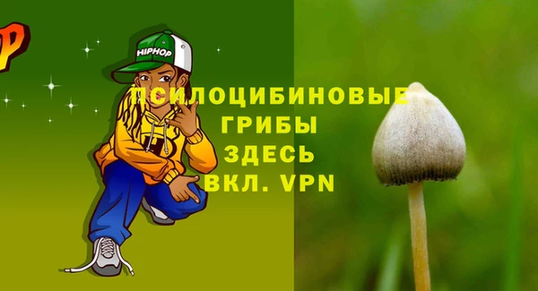 дмт Алексин