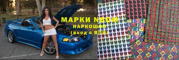 прущие грибы Алзамай