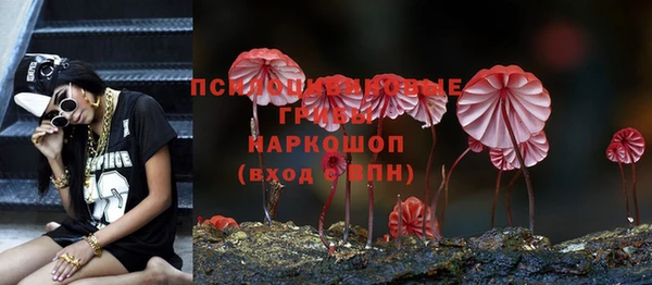 хмурый Нягань