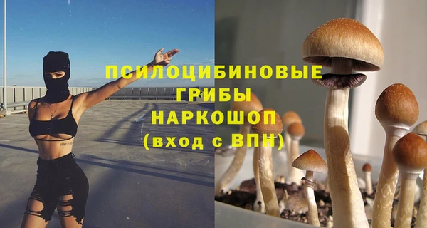 прущие грибы Алзамай