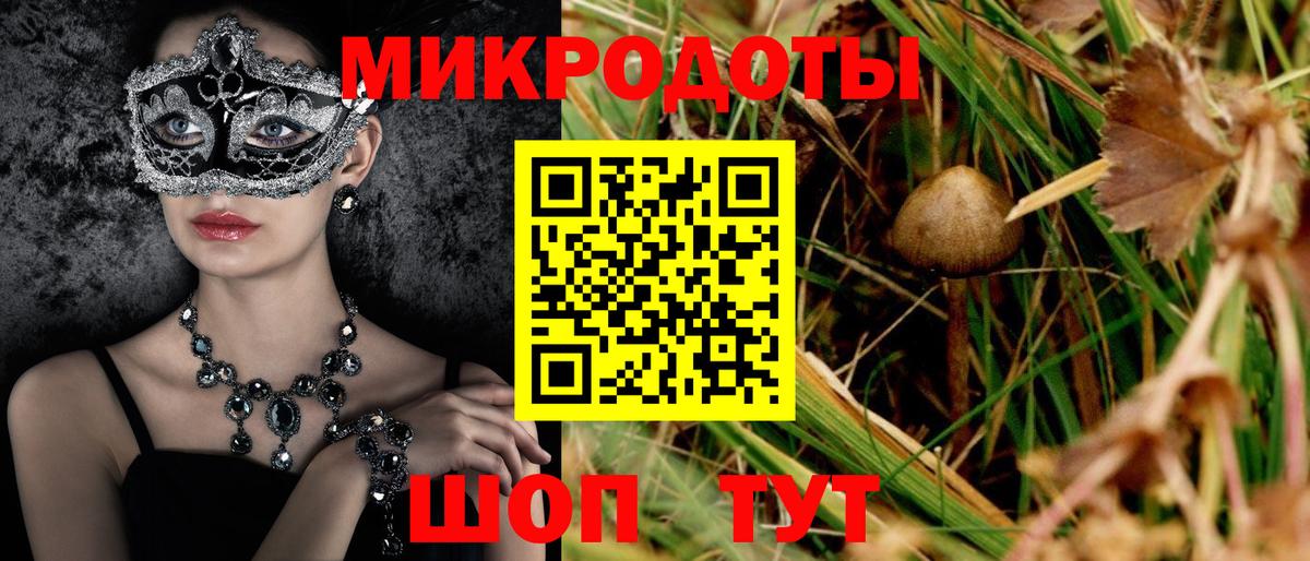 Галлюциногенные грибы мухоморы Советск