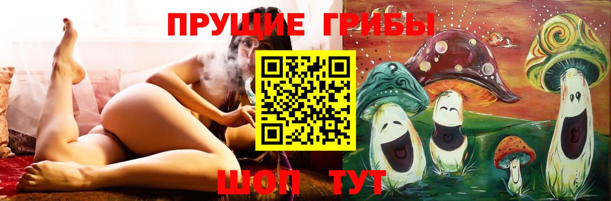 Галлюциногенные грибы GOLDEN TEACHER  Вход с VPN  Советск 